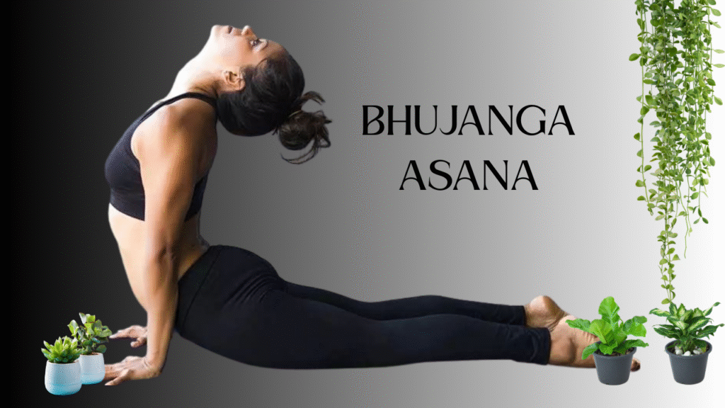 Bhujangasana cobra pose yoga for belly fat reduction
