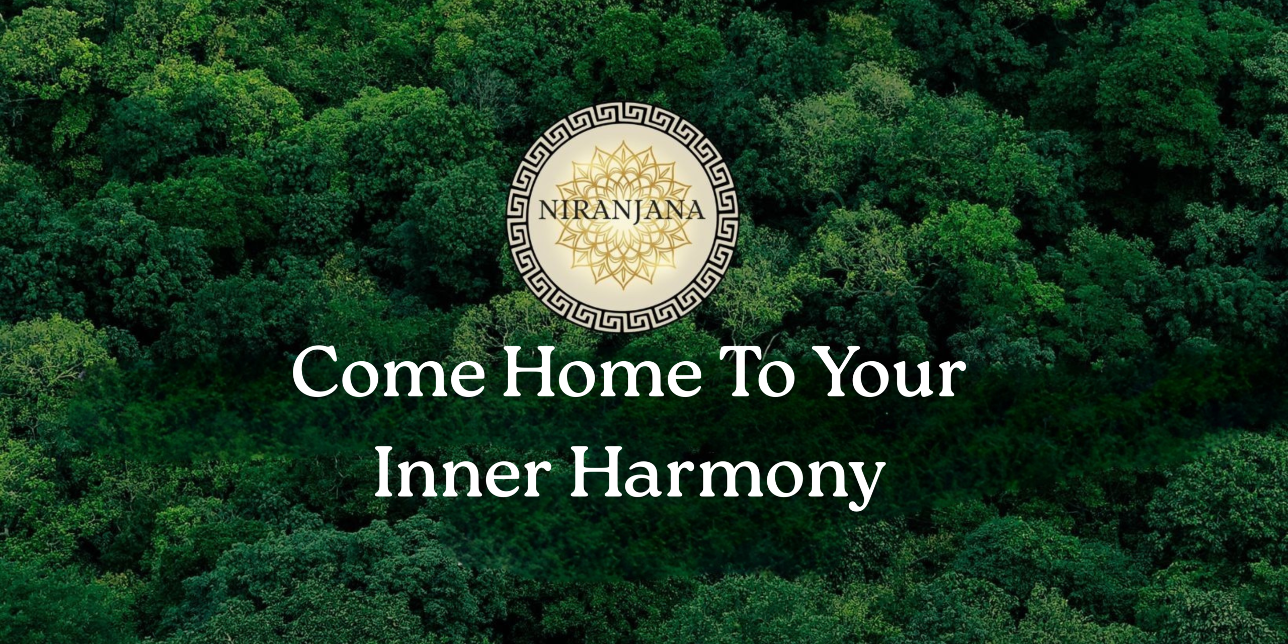 website banner for niranjanaworld